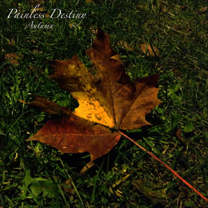 老婆去农场给马当媳妇
